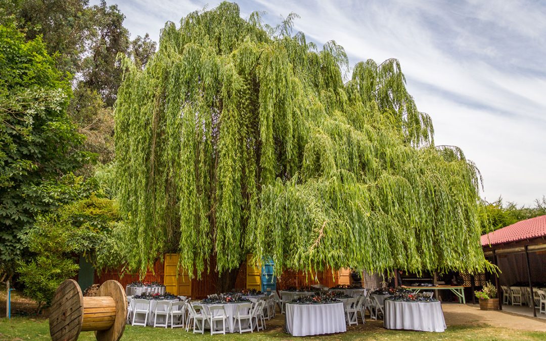 Centros de eventos campestres en Santiago