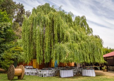 CENTRO DE EVENTOS CHICUREO