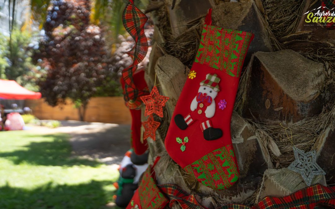 Evento Navidad Empresa