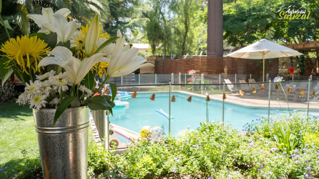 Fotos Evento Viejito Pascuero – Celebración Navideña en Familia Fotos Evento Viejito Pascuero – Celebración Navideña en Familia