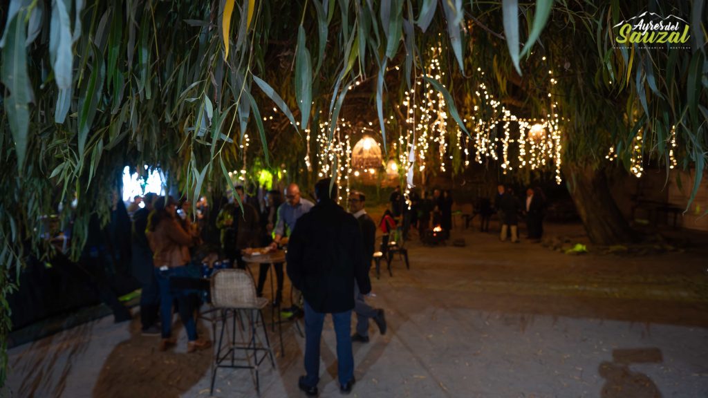 Celebración Empresa Scala Data – Evento Nocturno